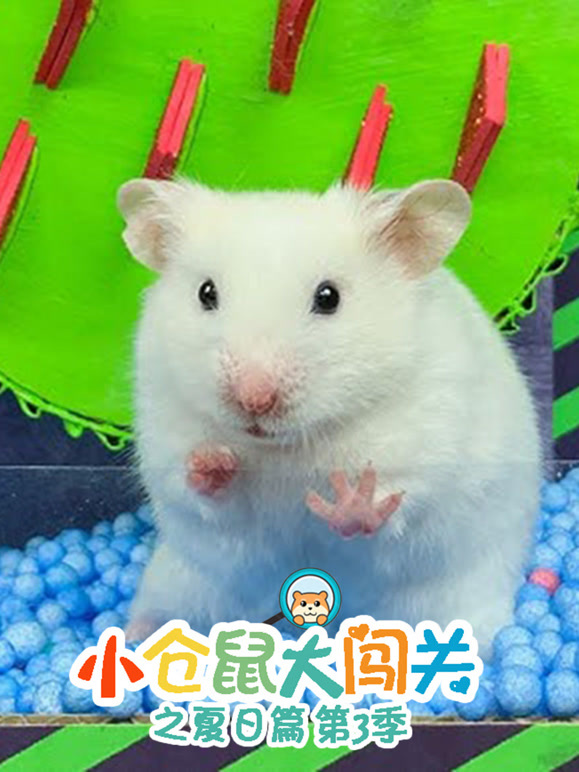 小仓鼠大闯关之夏日语篇第3季