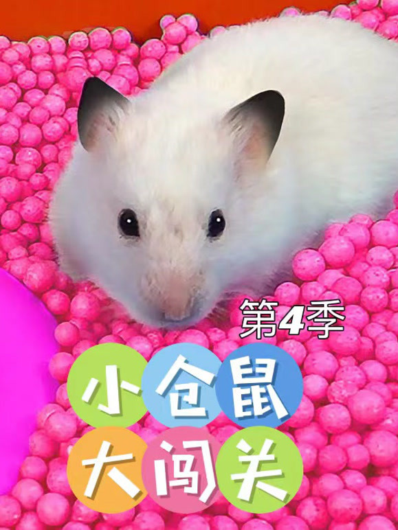 小仓鼠大闯关第4季