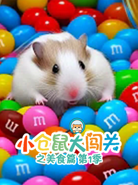 小仓鼠大闯关之美食篇