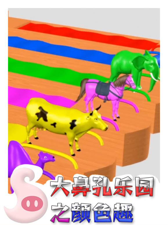 大鼻孔乐园之颜色趣