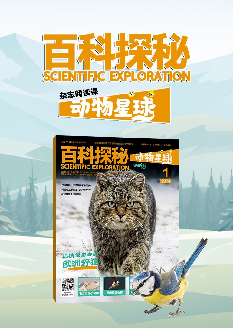 百科探秘动物星球杂志阅读课