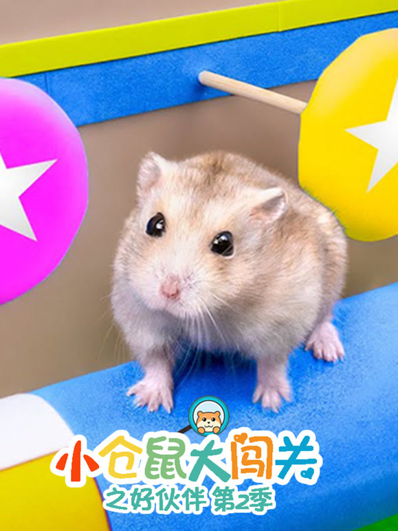 小仓鼠大闯关之好伙伴第2季