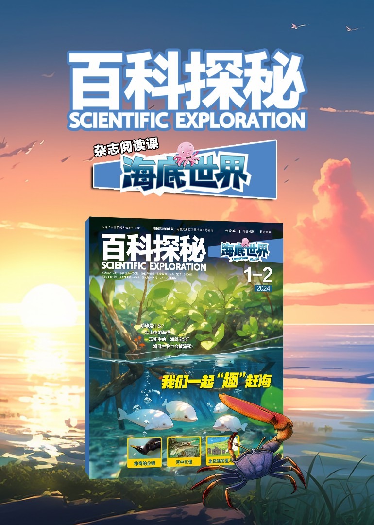 百科探秘海底世界杂志阅读课