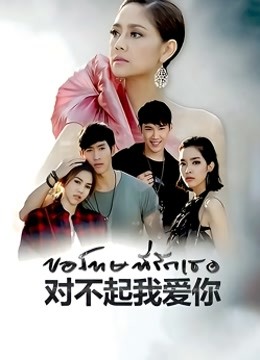 泰语版对不起我爱你版