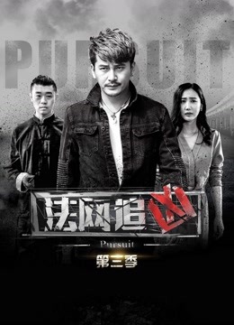 法网追凶3