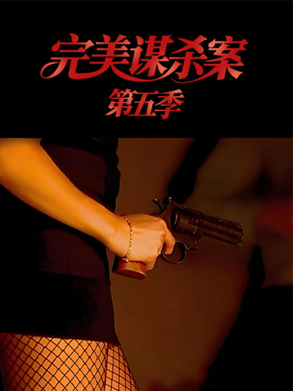 完美谋杀案第5季