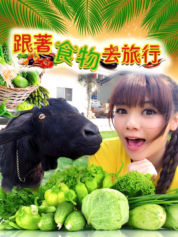 跟着食物去旅行第1季