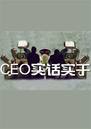 CEO实话实干2010