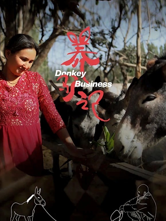 2021年新疆作品展养驴记