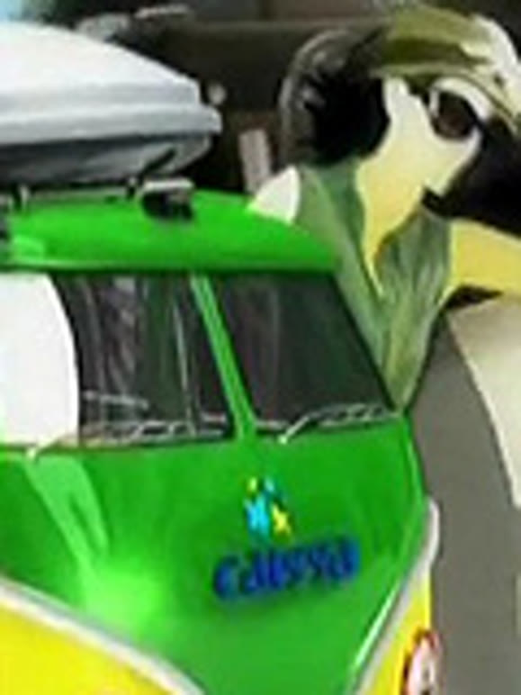 凯凯莎莎游世界