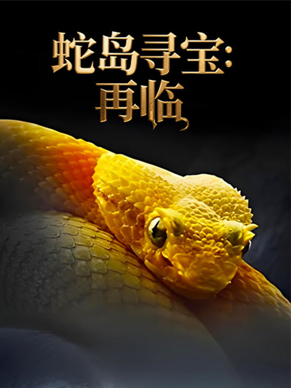 蛇岛寻宝再临