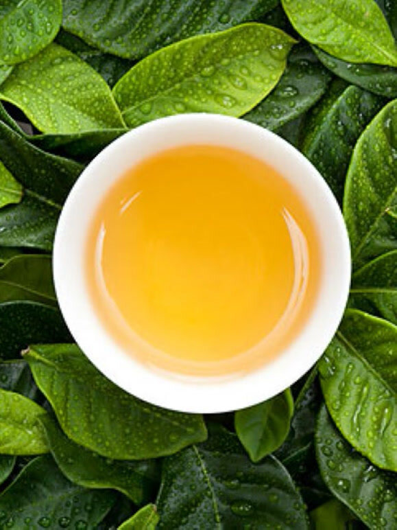 央视纪录频道茶第二集精彩片段