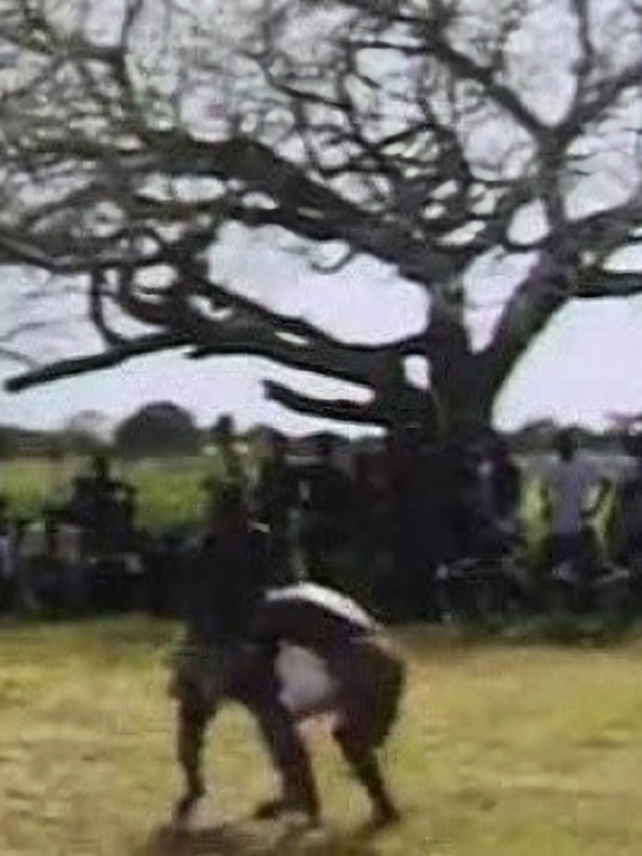 参观塞内加尔的摔跤节