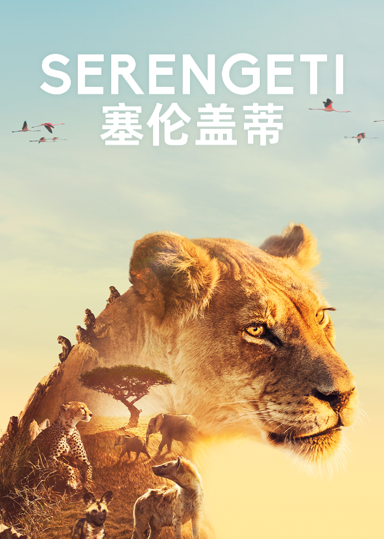 塞伦盖蒂第1季普通话版