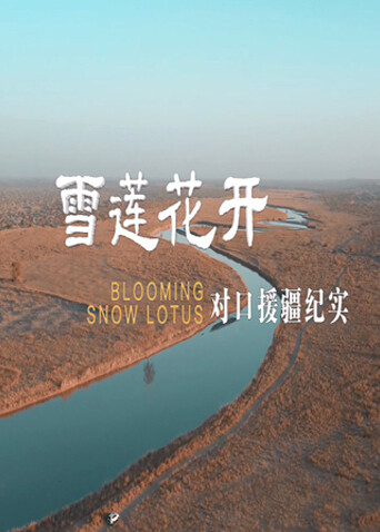 雪莲花开对口援疆纪实
