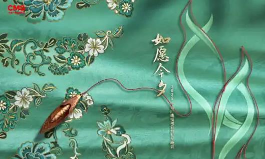 2025中央广播电视总台湾七夕晚会