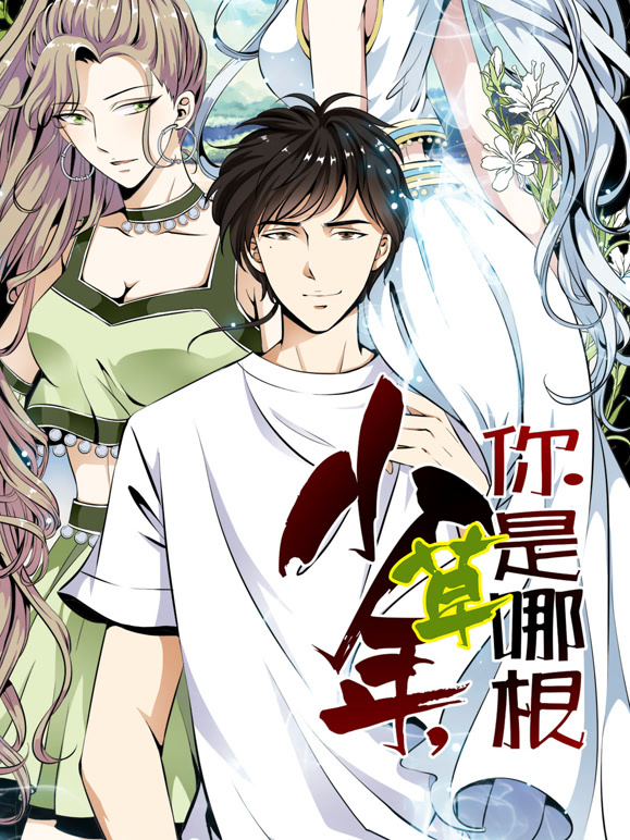 少年你是哪根草动态漫画