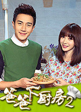 爸爸下厨房2