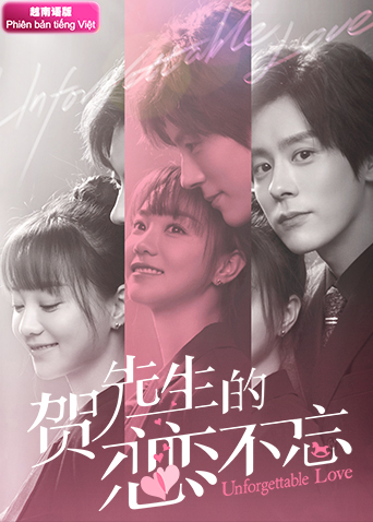 贺先生的恋恋不忘越南版语版