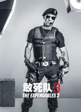 敢死队3版