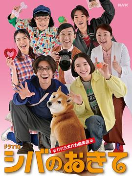 柴犬的规矩～我们这群狗痴编辑部