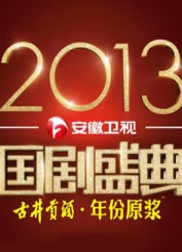 安徽卫视2013国产盛典