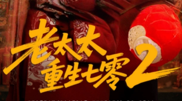 老太太重生七零2