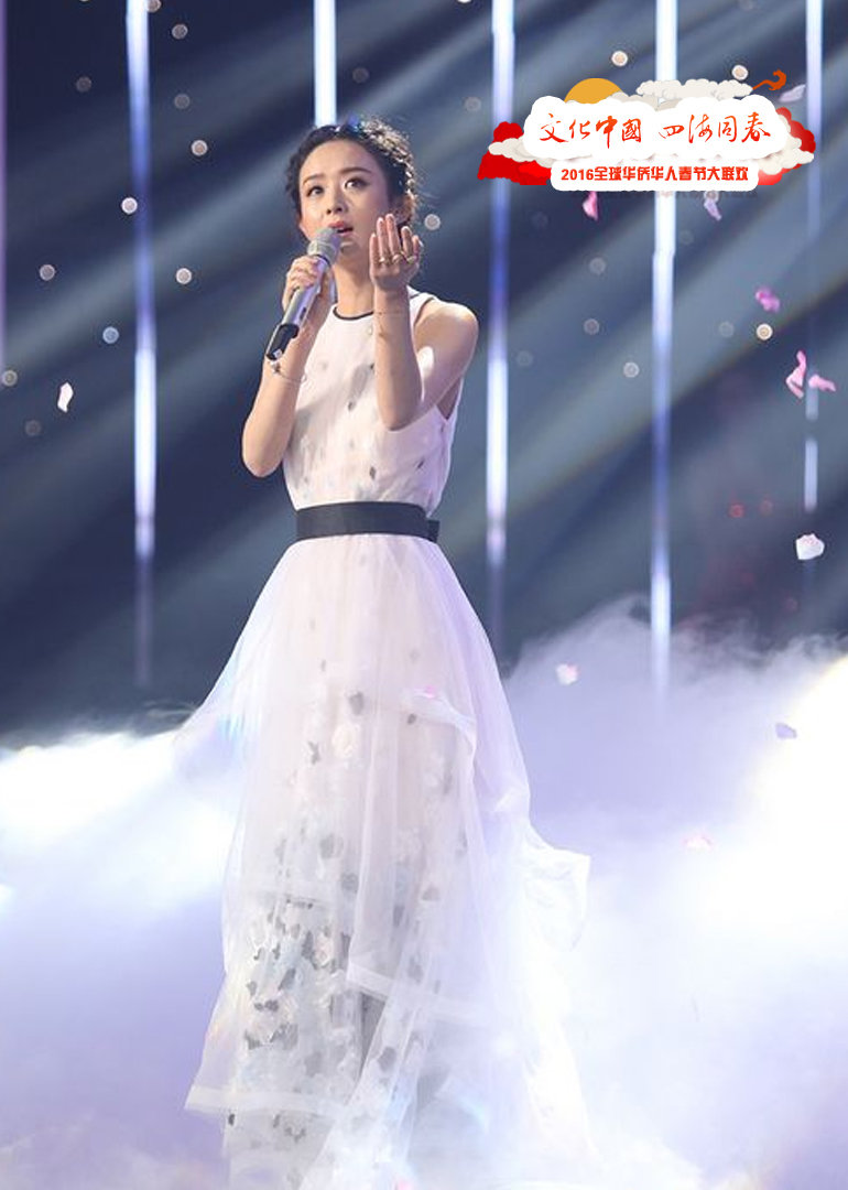 2016华人华侨春晚