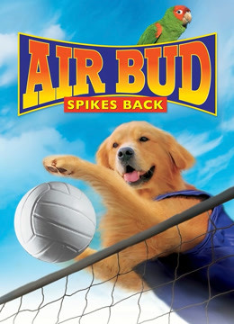 飞狗巴迪5排球健将（英语语）