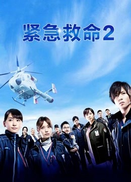 紧急救命第2季