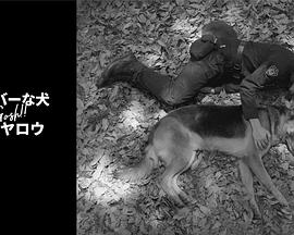 奥莉佛是狗，（天哪！！）这家伙续篇