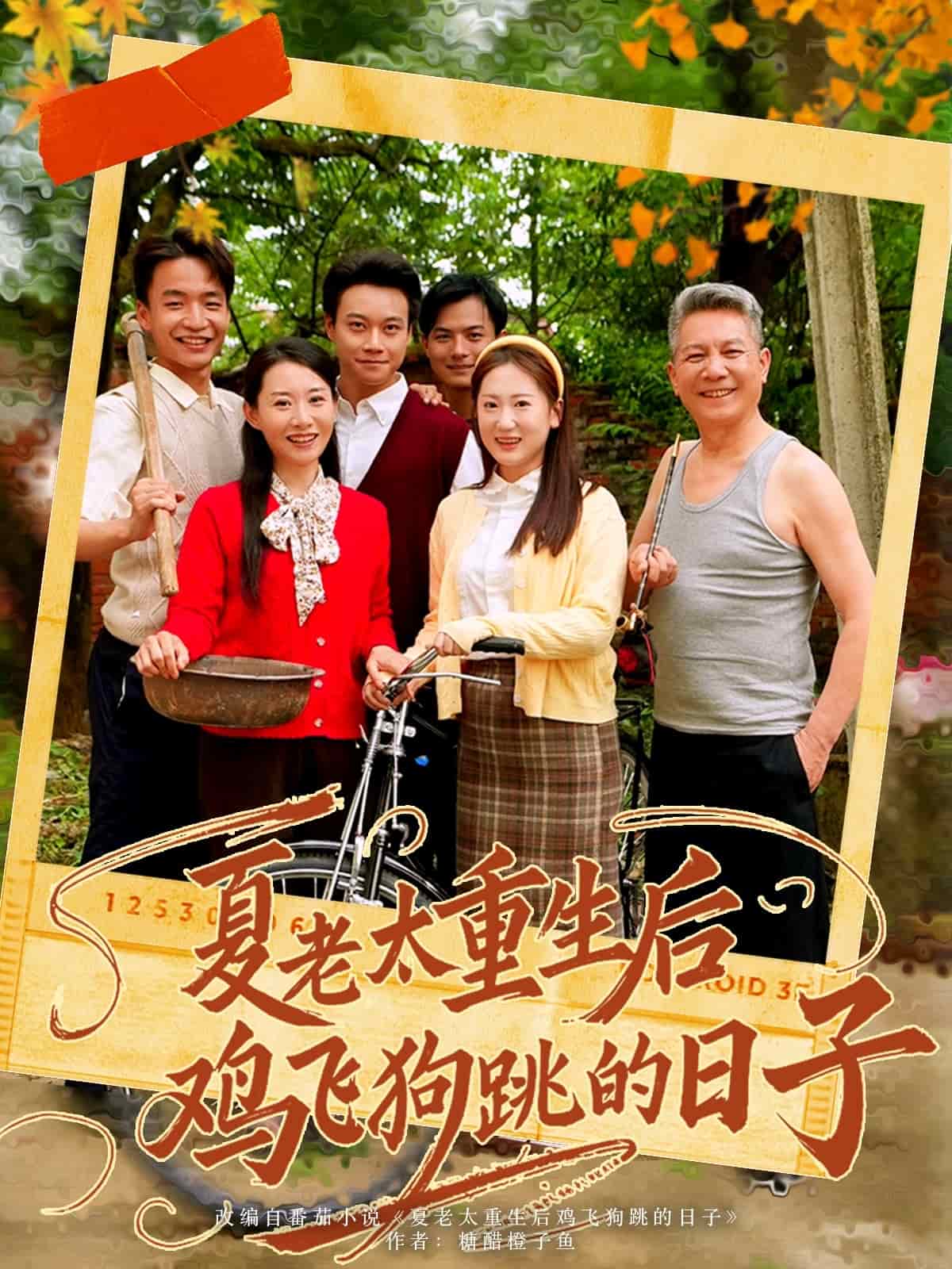 夏老太重生后鸡飞狗跳的日语子