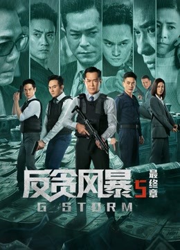 反贪风暴5最终章（粤语）
