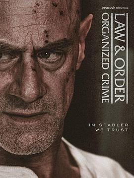 法律与秩序组织犯罪第5季