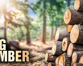 终极伐木达人第1季