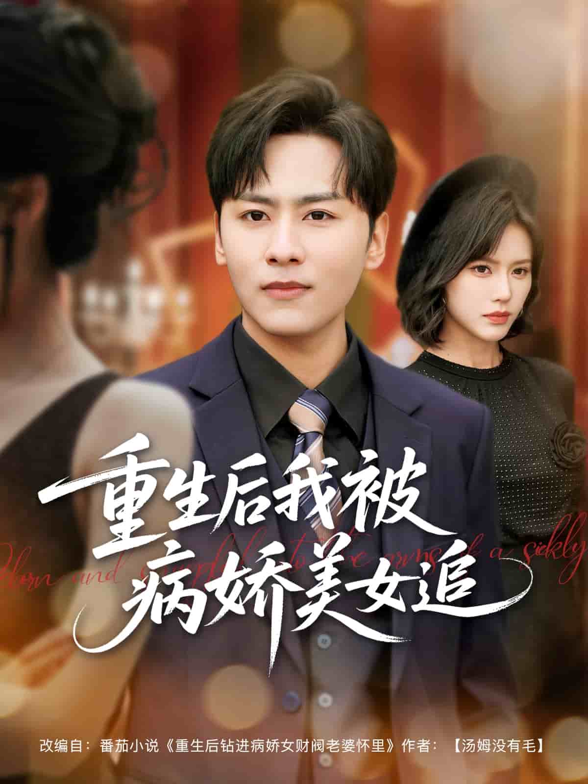 重生六零老太太的崛起