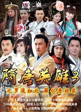 隋唐英语雄3DVD版