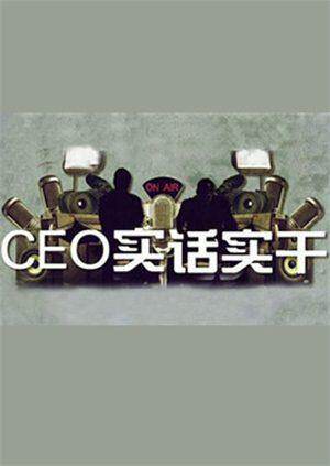 CEO实话实干2011
