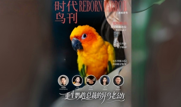 重生鹦鹉总裁的异鸟老公