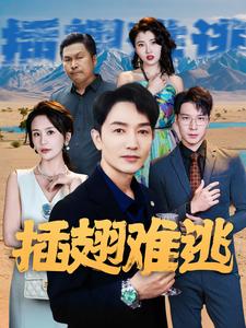 插翅难逃短剧版