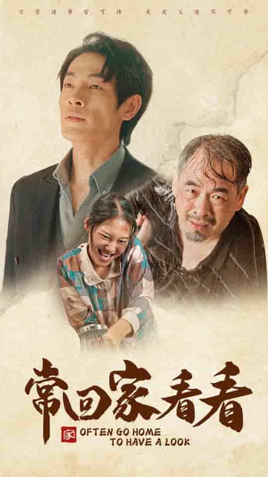 常回家看看短剧版