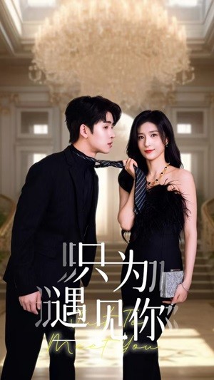 只为遇见你短剧版