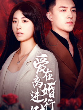 爱在离婚进行时短剧版