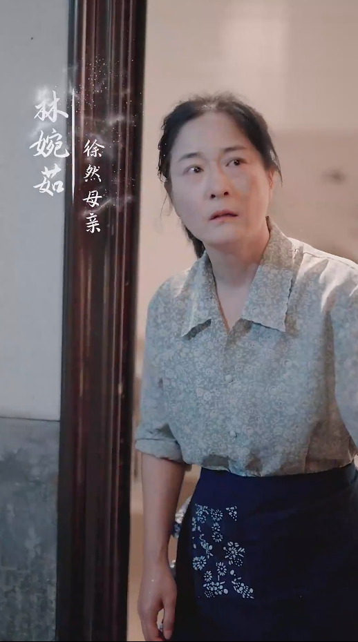 谁怜天下慈母心短剧版