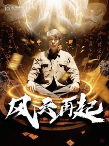 风云再起短剧版