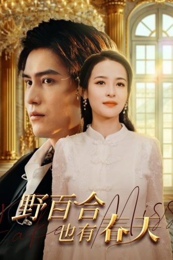 野百合也有春天短剧版