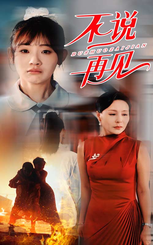 不说再见短剧版