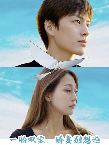 一胎双宝娇妻别想逃