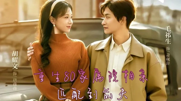 重生80家属院，相亲匹配到前夫