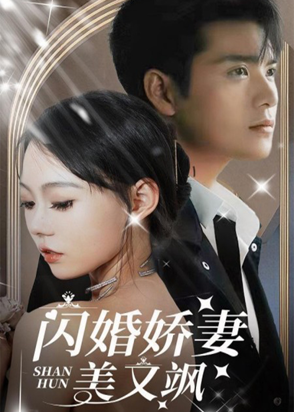 闪婚娇妻美又飒